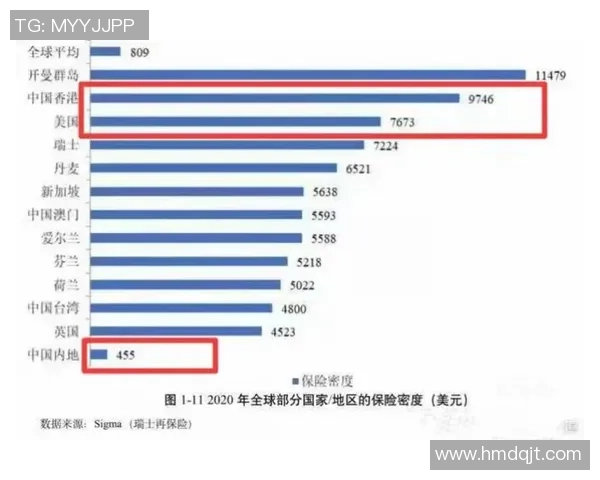 南京排球队杯赛表现分析：意识与团队协作的深度探讨