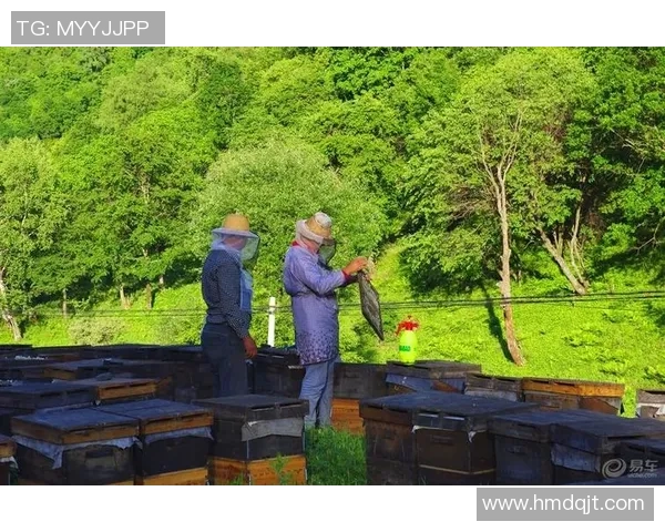 国外足球明星钓鱼乐趣无限亲密接触自然展现真实自我